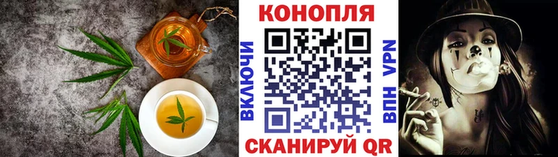 Купить где  Усть-Лабинск  Canna-Cookies конопля 