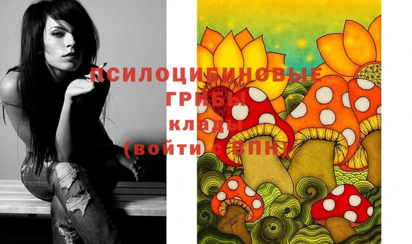 спиды Михайловка